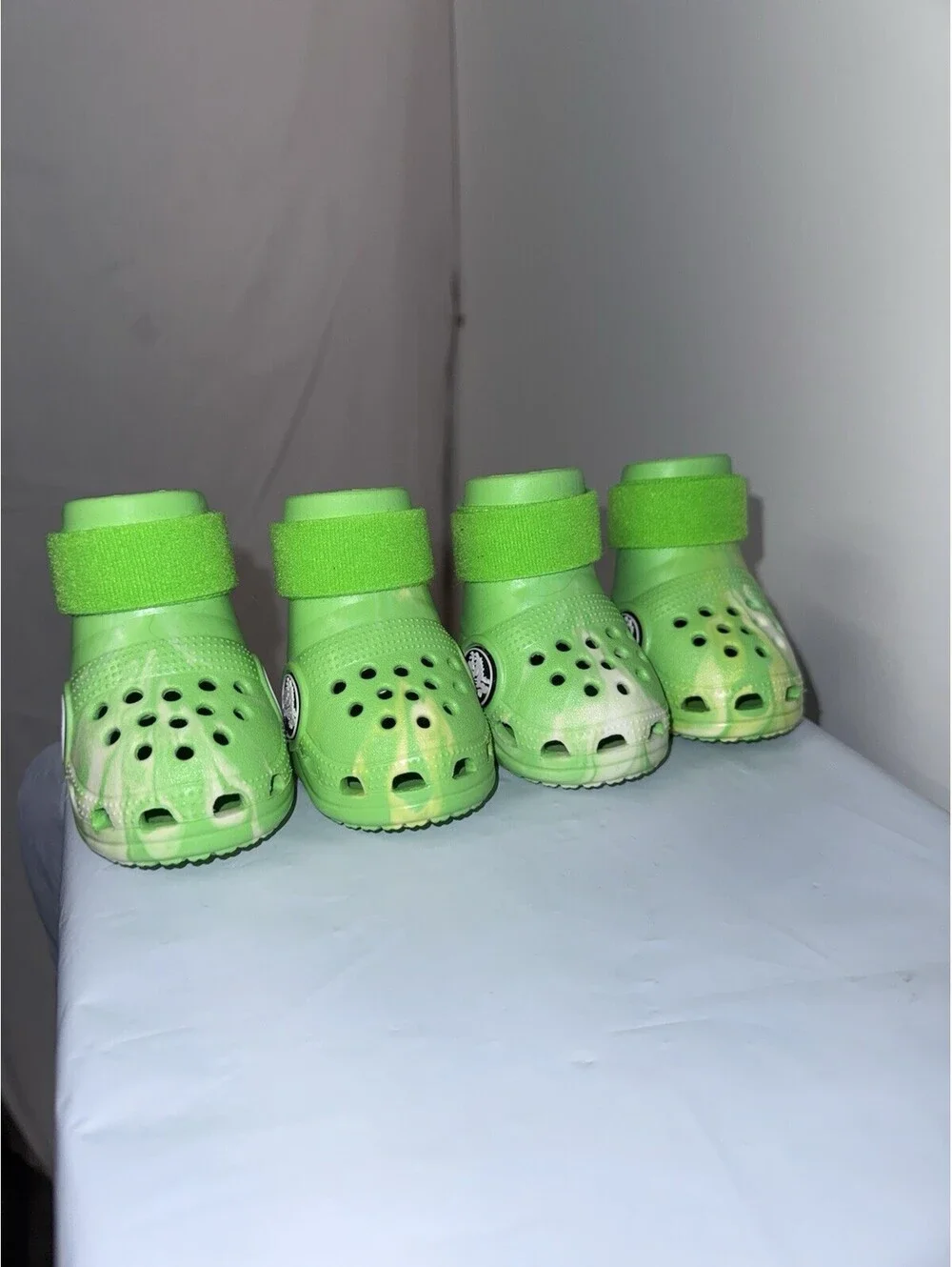 CROCS barkbox limited